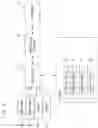 Fig. 05 - MOBILE COMMUNICATIONS DEVICE AND SYSTEM