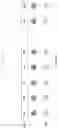 Fig. 02 - Method and apparatus for handling radio link failure in system using multiple reference signals