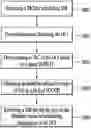 Fig. 01 - Method of transmitting and receiving system information and device therefor
