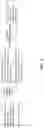 Fig. 05 - Reference signal configuration
