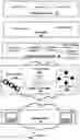 Fig. 02 - Distributed consent protecting data across systems and services