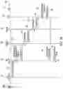 Fig. 07 - Redundant multicast trees without duplication and with fast recovery