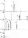 Fig. 10 - Redundant multicast trees without duplication and with fast recovery