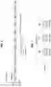 Fig. 05 - Method and apparatus for transmitting sounding reference signal