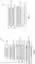 Fig. 06 - Channel estimation using a plurality of beamformed reference signals