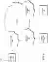 Fig. 07 - Dynamic cyclic extension for fast access to subscriber terminals (G.Fast)