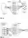 Fig. 20 - VIRTUAL DISPERSIVE NETWORKING SYSTEMS AND METHODS