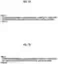 Fig. 06 - Information processing apparatus, information processing system, and non-transitory computer readable medium storing information processing program for allowing operation within predeternined authority range for temporary user