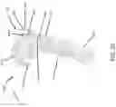 Fig. 25 - Personal care device with camera