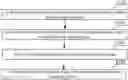 Fig. 01 - Method for achieving bullet time capturing effect and panoramic camera