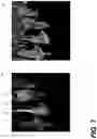 Fig. 08 - Method and apparatus for point cloud compression