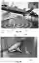 Fig. 11 - Image compression for digital reality