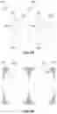 Fig. 15 - Image compression for digital reality