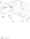 Fig. 04 - Prenatal sound device