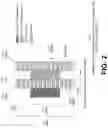 Fig. 03 - Beam-specific and non-beam-specific synchronization signal block positions for wireless networks