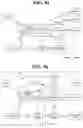 Fig. 05 - Method and user equipment for initiating service request procedure