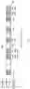Fig. 12 - Integrated circuit