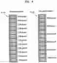 Fig. 09 - METHOD AND APPARATUS FOR MANAGING RESOURCE POOL IN WIRELESS COMMUNICATION SYSTEM