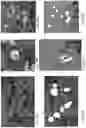 Fig. 22 - Self-propelled robotic harvester for selective picking of high quality agriculture row crops