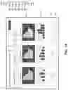 Fig. 15 - Identifying management zones in agricultural fields and generating planting plans for the zones