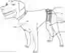 Fig. 01 - Animal surgery protective sleeve