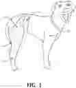 Fig. 02 - Animal surgery protective sleeve