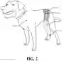 Fig. 03 - Animal surgery protective sleeve