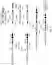 Fig. 04 - Humanized non-human animals with restricted immunoglobulin heavy chain loci