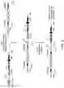 Fig. 05 - Humanized non-human animals with restricted immunoglobulin heavy chain loci