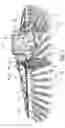 Fig. 02 - Drop-down applicators for an agricultural sprayer