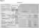 Fig. 03 - COMBINATION TUMOR IMMUNOTHERAPY
