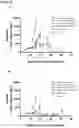 Fig. 11 - COMBINATION TUMOR IMMUNOTHERAPY