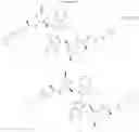 Fig. 37 - SMAC mimetic