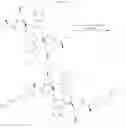 Fig. 44 - SMAC mimetic