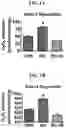 Fig. 02 - MITOCHONDRIAL-TARGETED ANTIOXIDANTS PROTECT AGAINST MECHANICAL VENTILATION-INDUCED DIAPHRAGM DYSFUNCTION AND SKELETAL MUSCLE ATROPHY