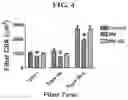 Fig. 05 - MITOCHONDRIAL-TARGETED ANTIOXIDANTS PROTECT AGAINST MECHANICAL VENTILATION-INDUCED DIAPHRAGM DYSFUNCTION AND SKELETAL MUSCLE ATROPHY