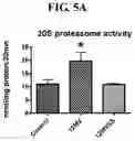 Fig. 06 - MITOCHONDRIAL-TARGETED ANTIOXIDANTS PROTECT AGAINST MECHANICAL VENTILATION-INDUCED DIAPHRAGM DYSFUNCTION AND SKELETAL MUSCLE ATROPHY