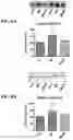 Fig. 09 - MITOCHONDRIAL-TARGETED ANTIOXIDANTS PROTECT AGAINST MECHANICAL VENTILATION-INDUCED DIAPHRAGM DYSFUNCTION AND SKELETAL MUSCLE ATROPHY