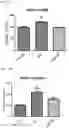 Fig. 20 - MITOCHONDRIAL-TARGETED ANTIOXIDANTS PROTECT AGAINST MECHANICAL VENTILATION-INDUCED DIAPHRAGM DYSFUNCTION AND SKELETAL MUSCLE ATROPHY