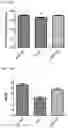 Fig. 22 - MITOCHONDRIAL-TARGETED ANTIOXIDANTS PROTECT AGAINST MECHANICAL VENTILATION-INDUCED DIAPHRAGM DYSFUNCTION AND SKELETAL MUSCLE ATROPHY