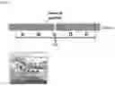 Fig. 02 - Adhesion prevention material