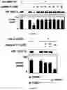 Fig. 03 - Method for treating and prognosing cancer