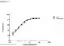 Fig. 07 - Combination therapy for C3 inhibition