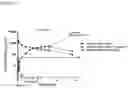 Fig. 08 - Combination therapy for C3 inhibition
