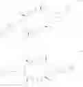 Fig. 06 - Endoparasitic depsipeptides