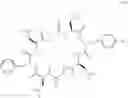 Fig. 09 - Endoparasitic depsipeptides