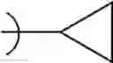 Fig. 141 - Endoparasitic depsipeptides