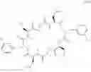 Fig. 15 - Endoparasitic depsipeptides