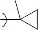 Fig. 158 - Endoparasitic depsipeptides