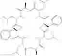 Fig. 19 - Endoparasitic depsipeptides